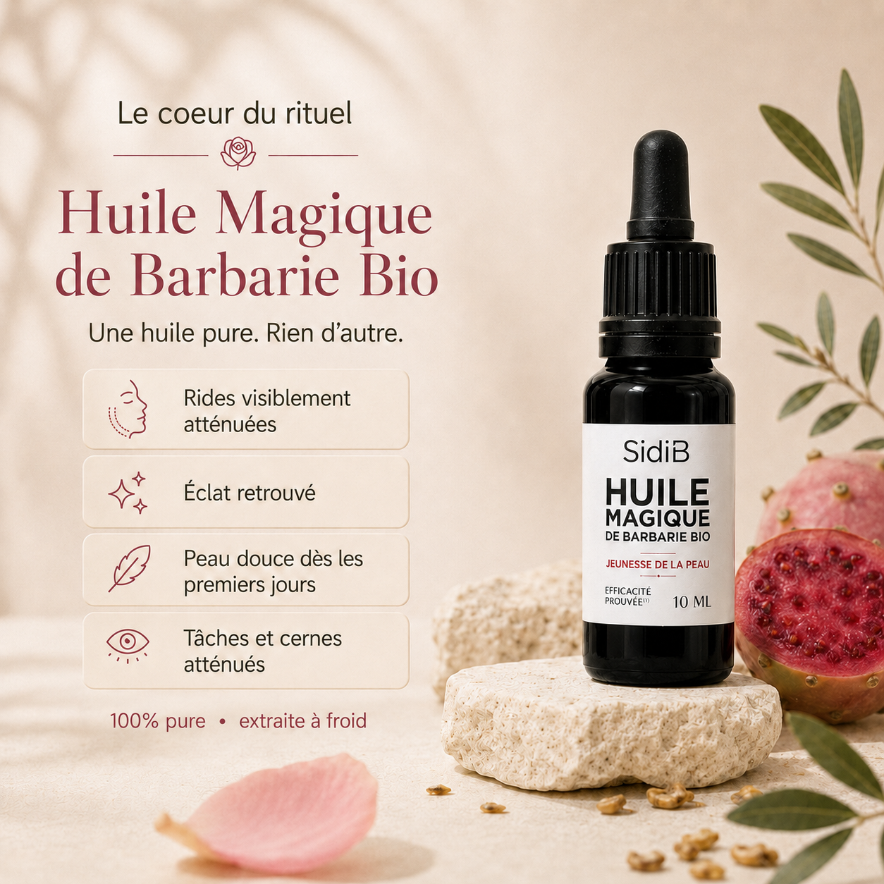 Rituel Sidi B - La Métamorphose