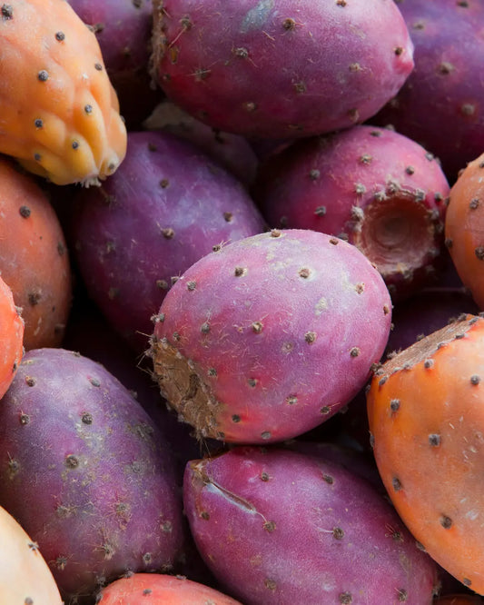 Huile de figue de barbarie : avant après, quels résultats espérer ? SIDIB.FR