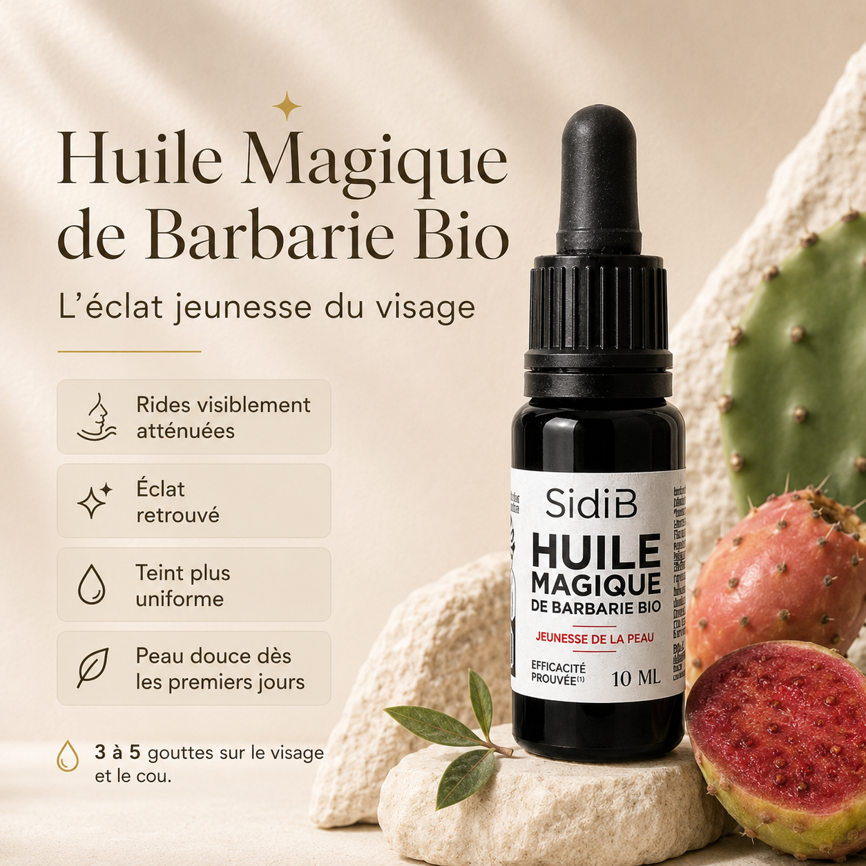 Rituel Sidi B - L'Évidence