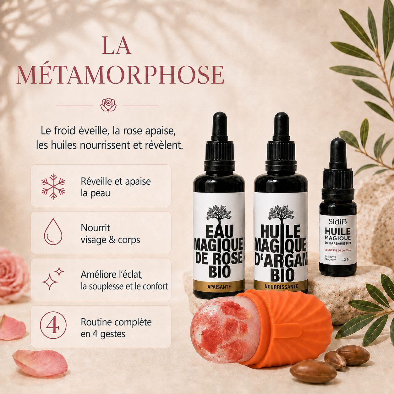 Rituel Sidi B - La Métamorphose