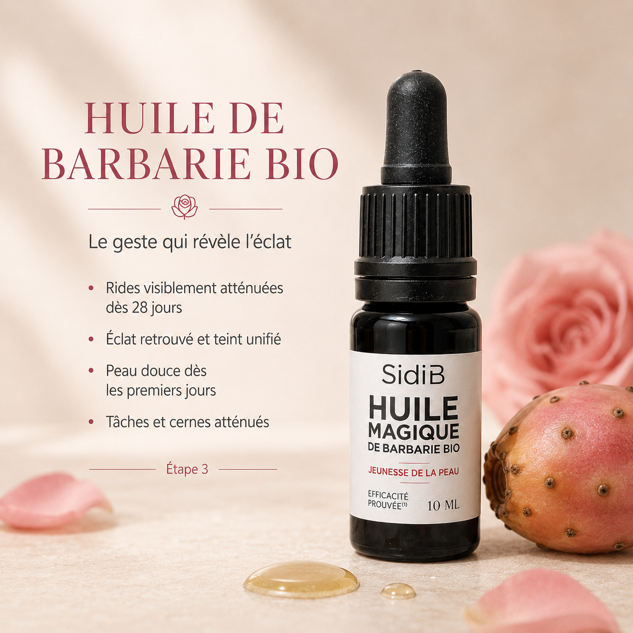 Rituel Sidi B - L'Éveil